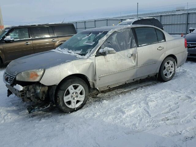 1G1ZT51866F170717 - 2006 CHEVROLET MALIBU LT SILVER photo 10