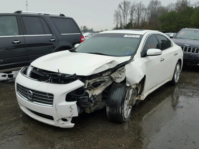 1N4AA5AP5AC847855 - 2010 NISSAN MAXIMA S WHITE photo 2