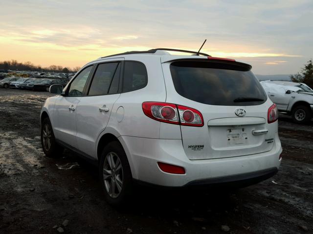 5XYZKDAG0BG081602 - 2011 HYUNDAI SANTA FE L WHITE photo 3