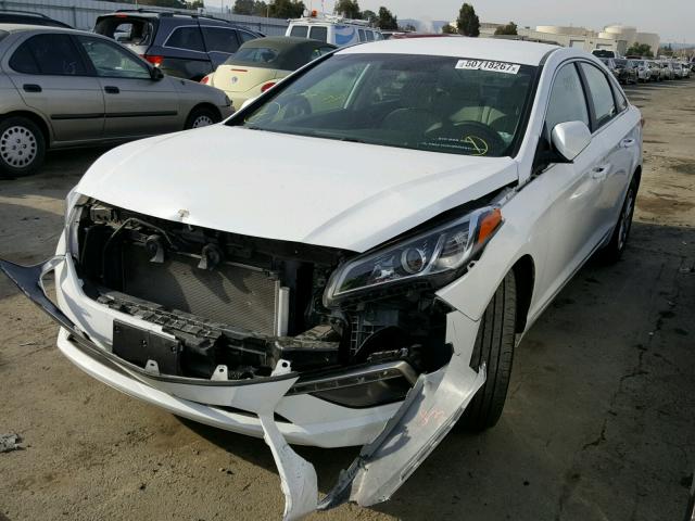 5NPE24AF4FH015915 - 2015 HYUNDAI SONATA SE WHITE photo 2