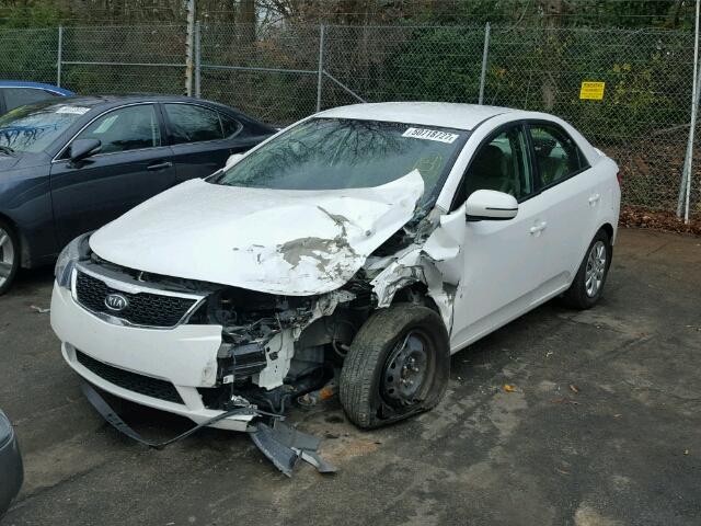 KNAFU4A25B5460506 - 2011 KIA FORTE EX WHITE photo 2