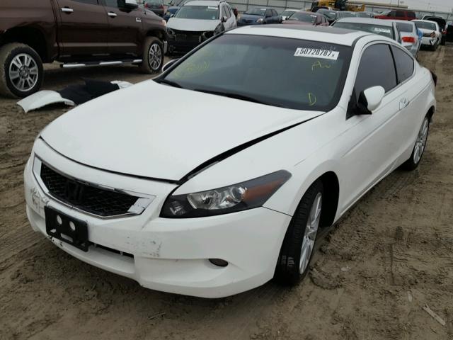 1HGCS2B82AA004702 - 2010 HONDA ACCORD EXL WHITE photo 2