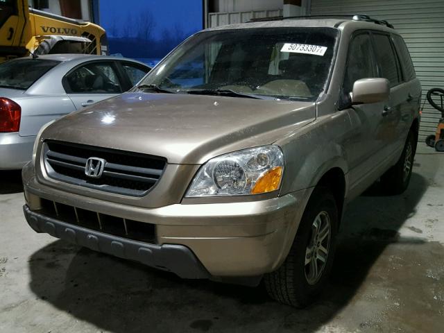 2HKYF18764H537604 - 2004 HONDA PILOT EXL GOLD photo 2