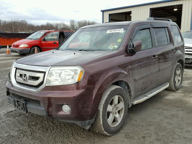 5FNYF4H51AB027509 - 2010 HONDA PILOT EXL BURGUNDY photo 2