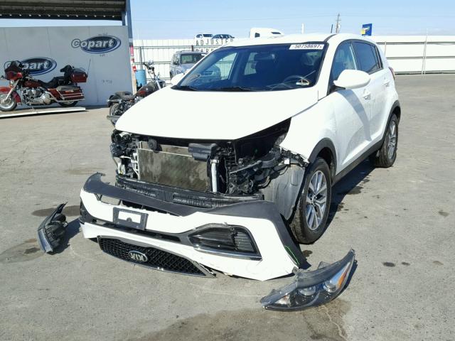 KNDPB3AC4F7691553 - 2015 KIA SPORTAGE L WHITE photo 2