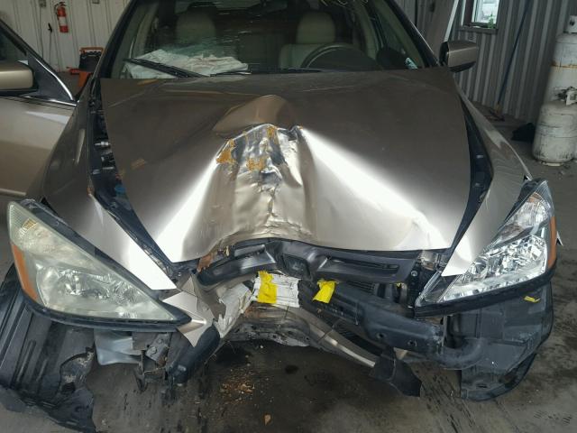 JHMCM56613C015540 - 2003 HONDA ACCORD EX GOLD photo 7