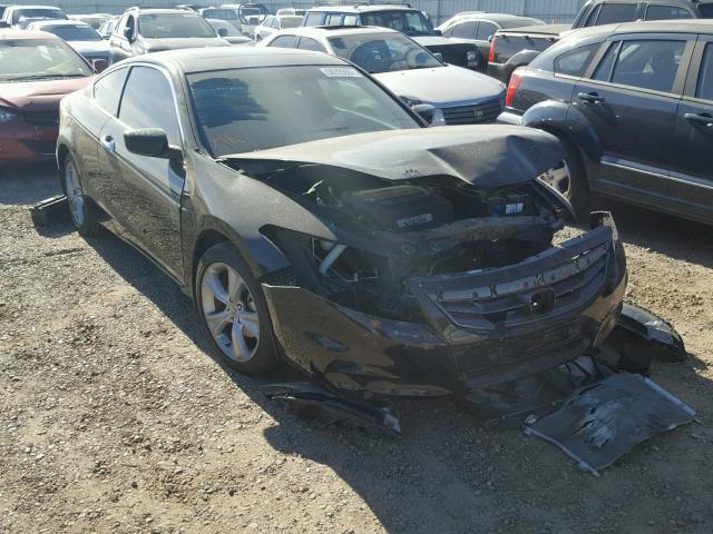 1HGCS2B83BA007609 - 2011 HONDA ACCORD EXL BLACK photo 1