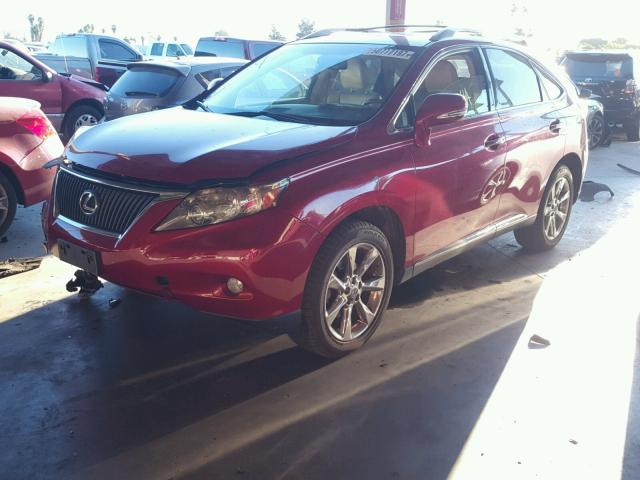 JTJBK1BA4A2411371 - 2010 LEXUS RX 350 RED photo 2