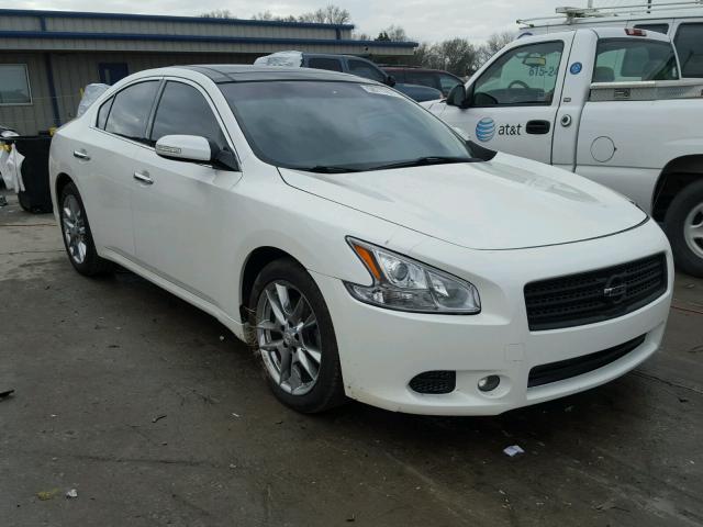 1N4AA5APXBC834214 - 2011 NISSAN MAXIMA S WHITE photo 1