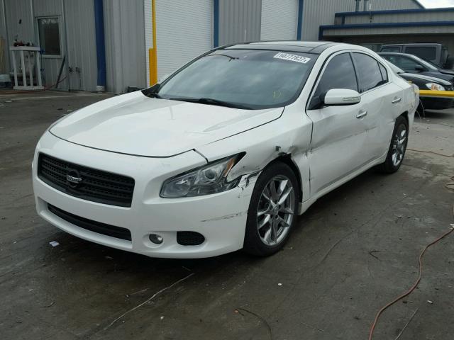 1N4AA5APXBC834214 - 2011 NISSAN MAXIMA S WHITE photo 2