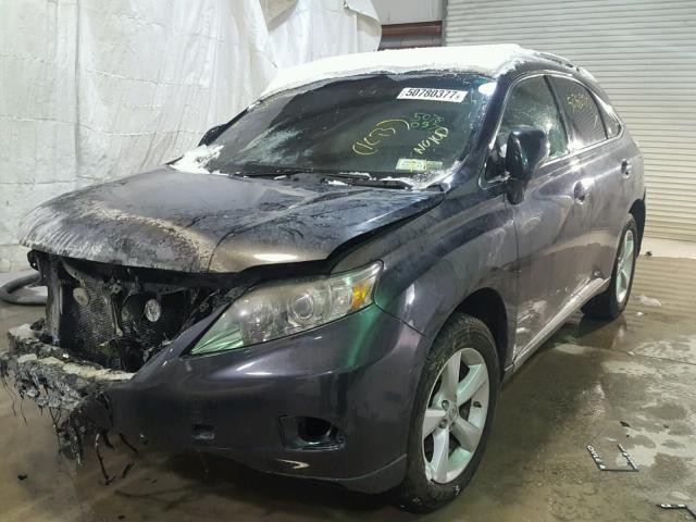 2T2BK1BAXAC061356 - 2010 LEXUS RX 350 BLUE photo 2