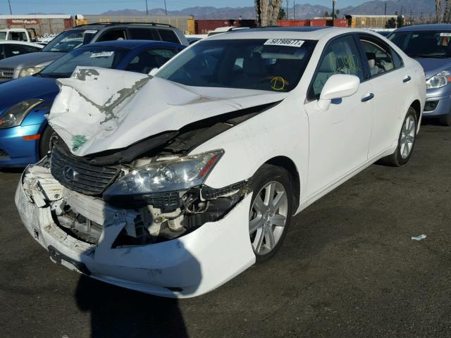 JTHBJ46G472150904 - 2007 LEXUS ES 350 WHITE photo 2