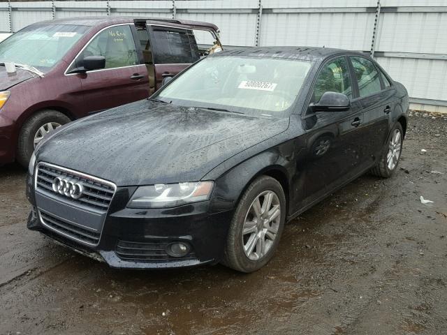 WAUJF78K69N068401 - 2009 AUDI A4 PREMIUM BLACK photo 2