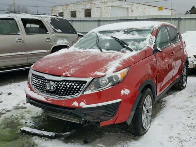 KNDPBCAC2F7699134 - 2015 KIA SPORTAGE L RED photo 2