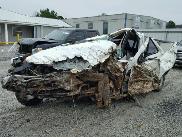 1GCHC44K29F180282 - 2009 CHEVROLET SILVERADO WHITE photo 2