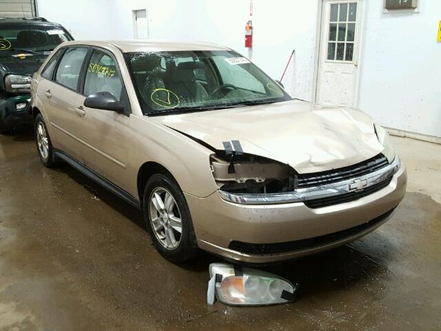 1G1ZT64855F182762 - 2005 CHEVROLET MALIBU MAX 金色 照片 1