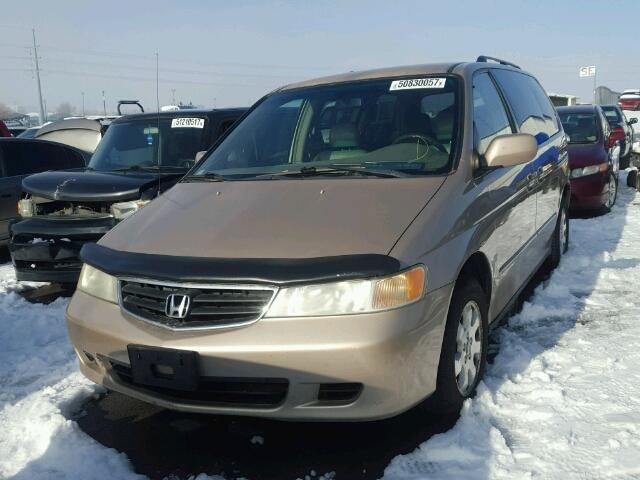 2HKRL18732H529499 - 2002 HONDA ODYSSEY EX GOLD photo 2