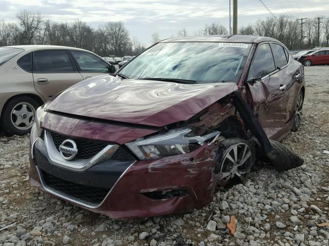 1N4AA6AP2GC392932 - 2016 NISSAN MAXIMA 3.5 MAROON photo 2