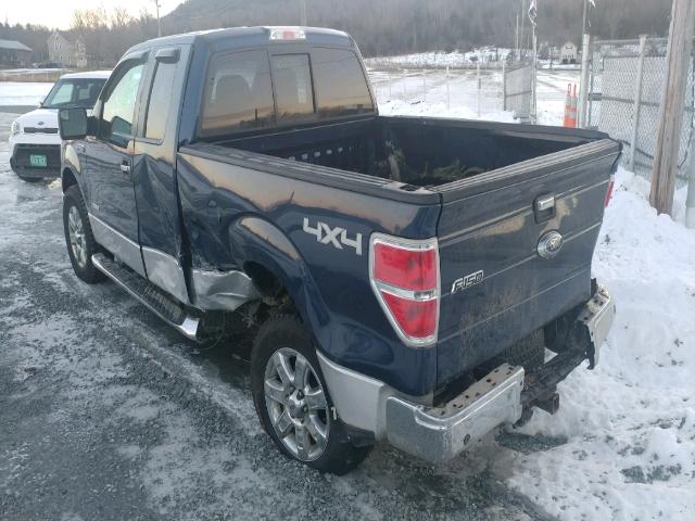 1FTFX1ET2DFB33361 - 2013 FORD F150 SUPER BLUE photo 3