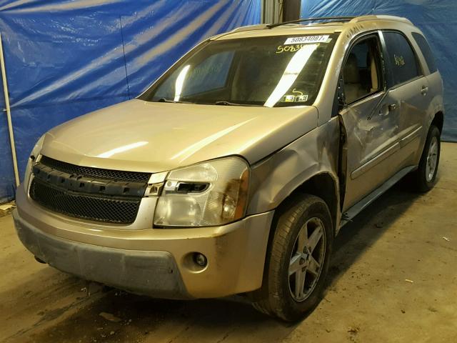 2CNDL73F456117530 - 2005 CHEVROLET EQUINOX LT GOLD photo 2