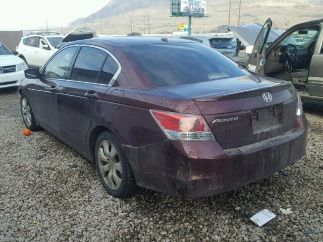 JHMCP26888C002038 - 2008 HONDA ACCORD EXL BURGUNDY photo 3