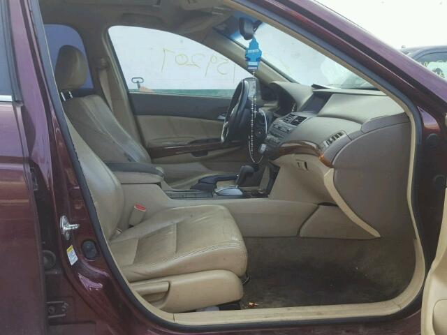 JHMCP26888C002038 - 2008 HONDA ACCORD EXL BURGUNDY photo 5