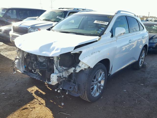 2T2BK1BA8EC238623 - 2014 LEXUS RX 350 WHITE photo 2