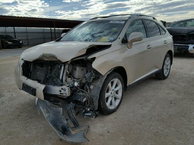 2T2ZK1BA9CC081177 - 2012 LEXUS RX 350 GOLD photo 2