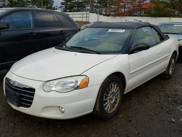 1C3EL55R64N107486 - 2004 CHRYSLER SEBRING LX WHITE photo 2