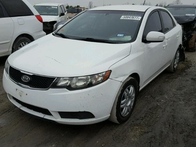 KNAFU4A29A5876296 - 2010 KIA FORTE EX WHITE photo 2