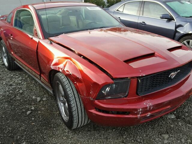 1ZVFT80N755112622 - 2005 FORD MUSTANG BURGUNDY photo 9