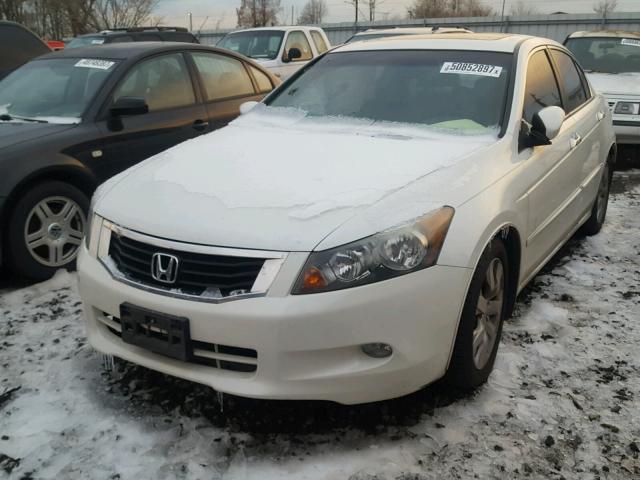 1HGCP36858A083942 - 2008 HONDA ACCORD EXL WHITE photo 2