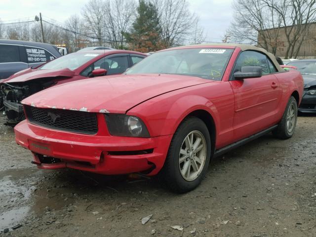 1ZVFT84N365221980 - 2006 FORD MUSTANG RED photo 2