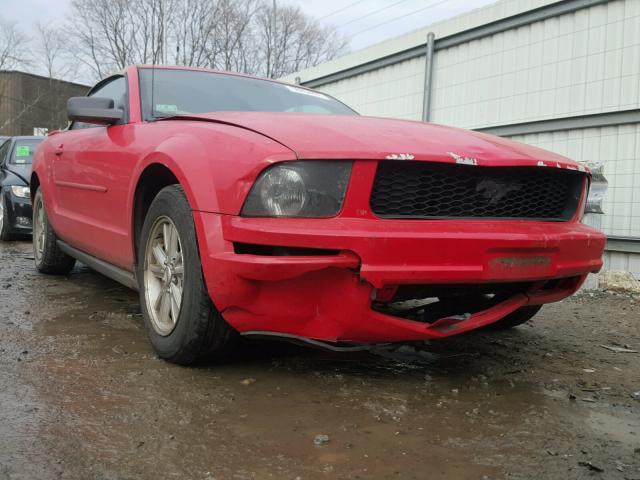 1ZVFT84N365221980 - 2006 FORD MUSTANG RED photo 9