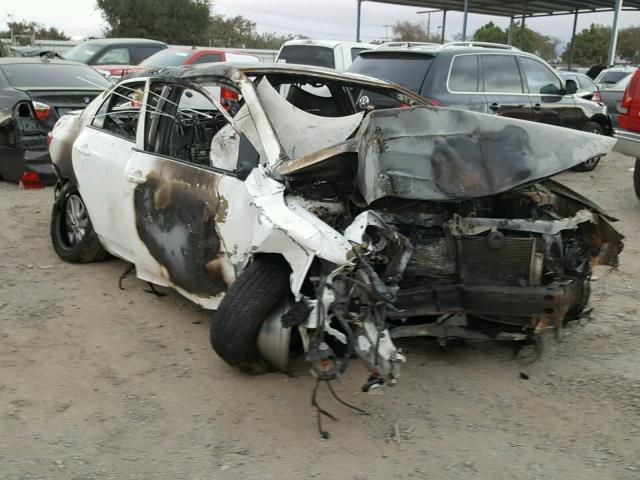 1NXBU4EE9AZ342545 - 2010 TOYOTA COROLLA BA WHITE photo 1