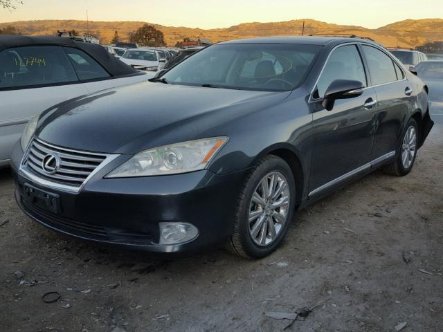 JTHBK1EG5A2392248 - 2010 LEXUS ES 350 GRAY photo 2