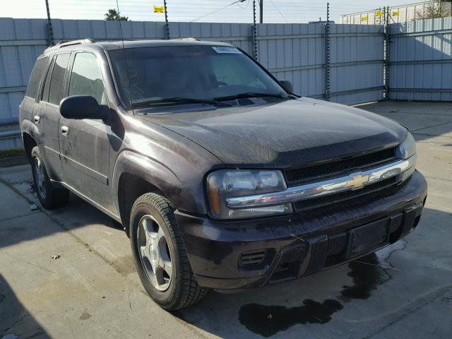 1GNDS13S282200948 - 2008 CHEVROLET TRAILBLAZE MAROON photo 1