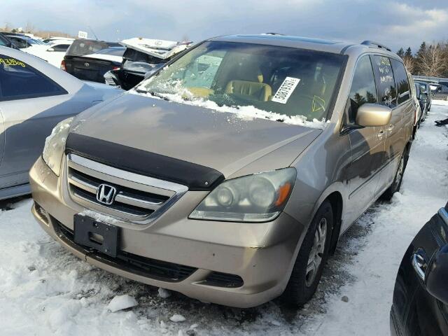 5FNRL38666B504832 - 2006 HONDA ODYSSEY EX BEIGE photo 2