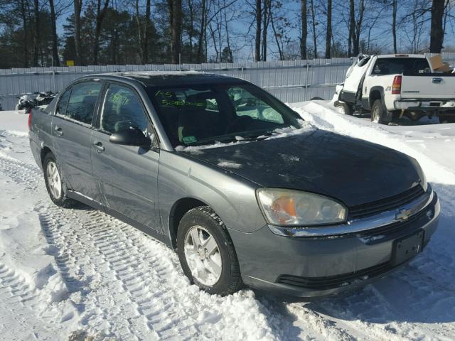 1G1ZT54894F233124 - 2004 CHEVROLET MALIBU LS GRAY photo 1