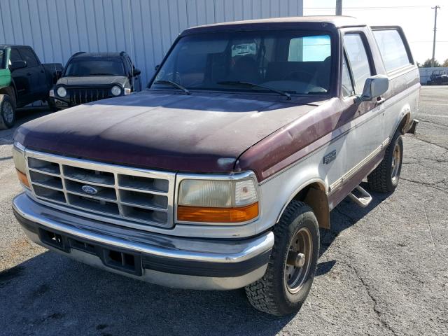 1FMEU15H3TLB71953 - 1996 FORD BRONCO U10 MAROON photo 2