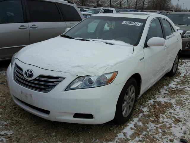 4T1BB46K38U060003 - 2008 TOYOTA CAMRY HYBR WHITE photo 2