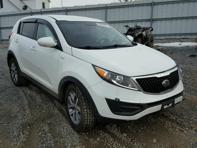 KNDPBCAC2G7880977 - 2016 KIA SPORTAGE L WHITE photo 1