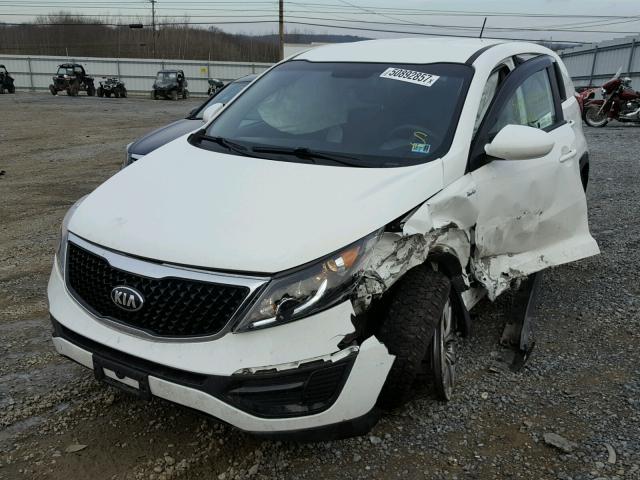 KNDPBCAC2G7880977 - 2016 KIA SPORTAGE L WHITE photo 2