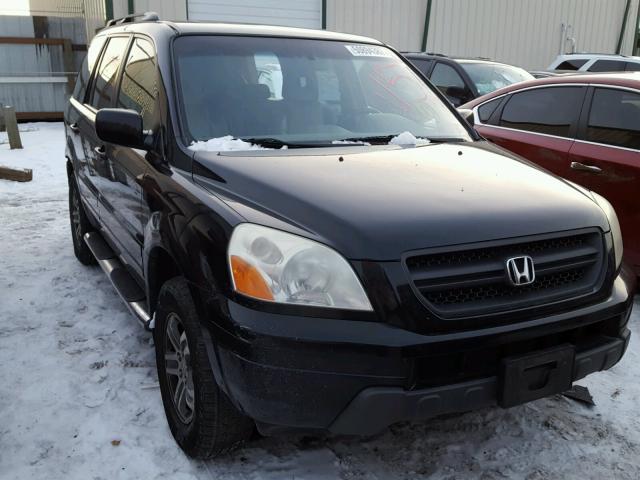 5FNYF18545B009316 - 2005 HONDA PILOT EXL BLACK photo 1