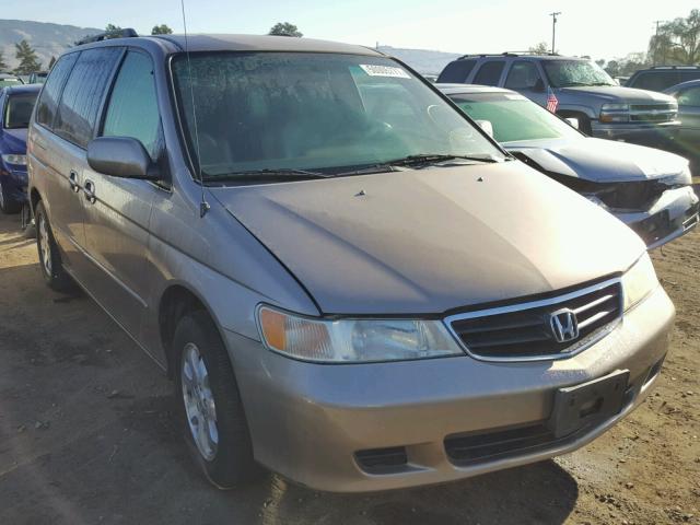 5FNRL18704B107806 - 2004 HONDA ODYSSEY EX TAN photo 1