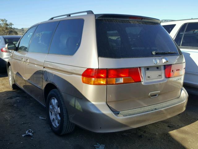 5FNRL18704B107806 - 2004 HONDA ODYSSEY EX TAN photo 3