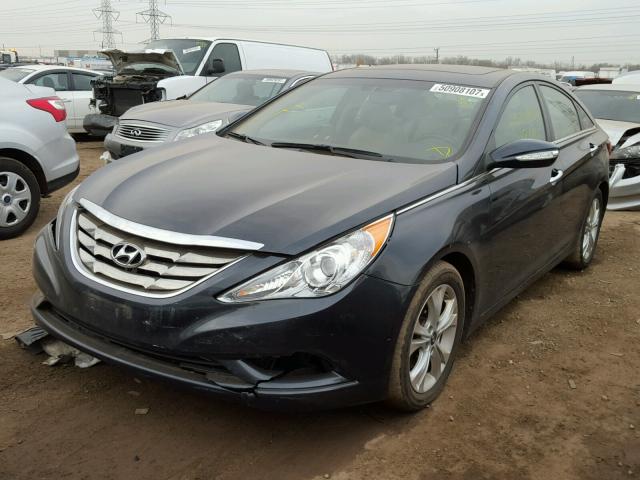 5NPEC4AC5DH729424 - 2013 HYUNDAI SONATA SE BLUE photo 2