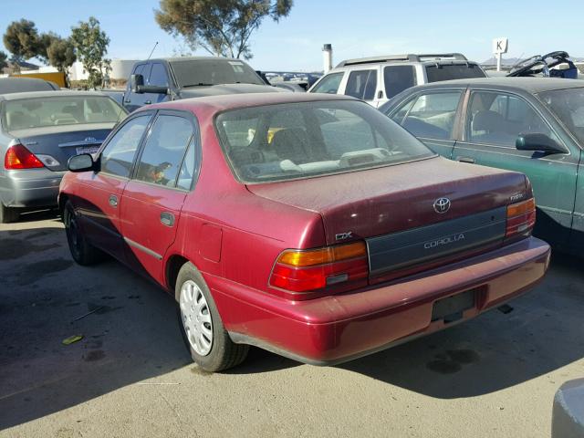 1NXAE09B7SZ349500 - 1995 TOYOTA COROLLA LE RED photo 3