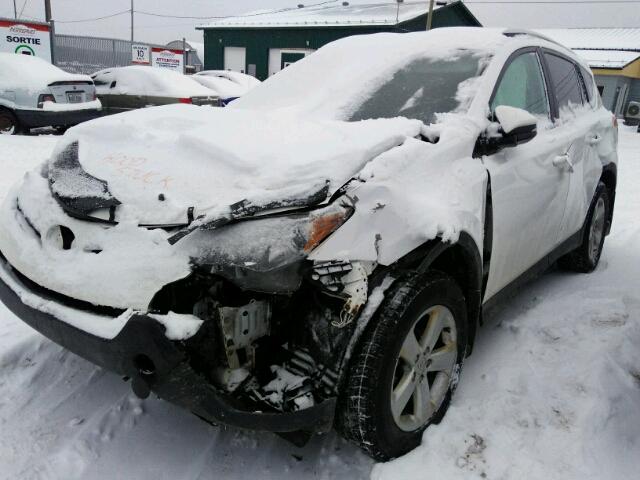 2T3RFREVXDW036200 - 2013 TOYOTA RAV4 XLE WHITE photo 2