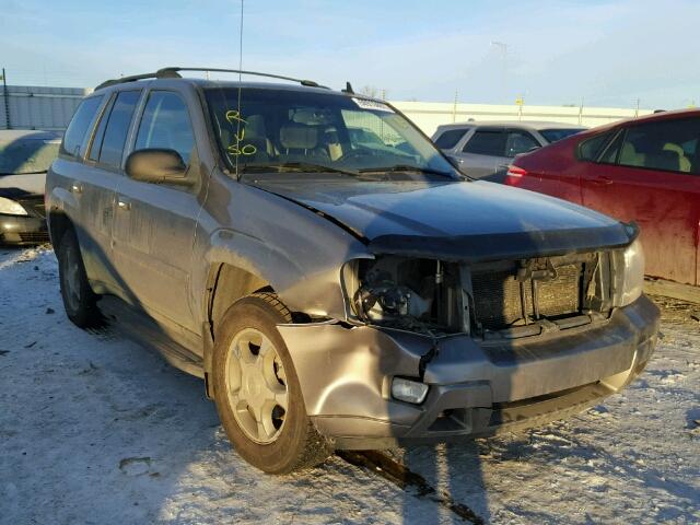 1GNDT13S682150259 - 2008 CHEVROLET TRAILBLAZE GRAY photo 1